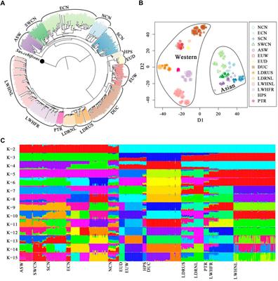 Distinct traces of mixed ancestry in western commercial pig genomes following gene flow from Chinese indigenous breeds